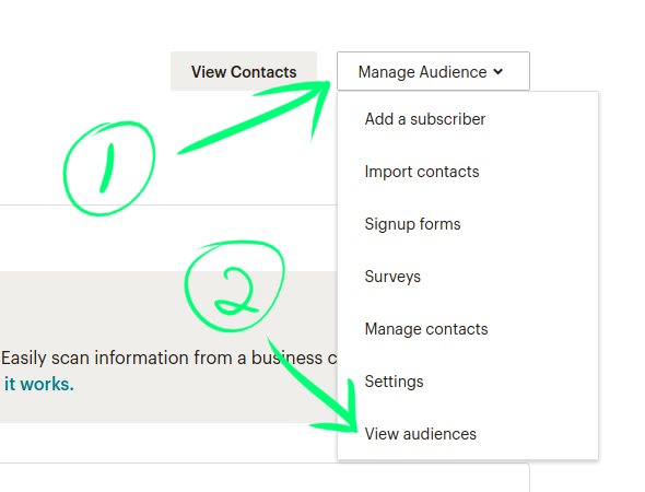 How To Link Mailchimp To Client Diary Client Diary